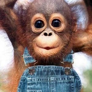 Meet your Posher, Kendra